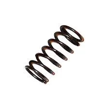Resorte De Compresion 10 P/9032