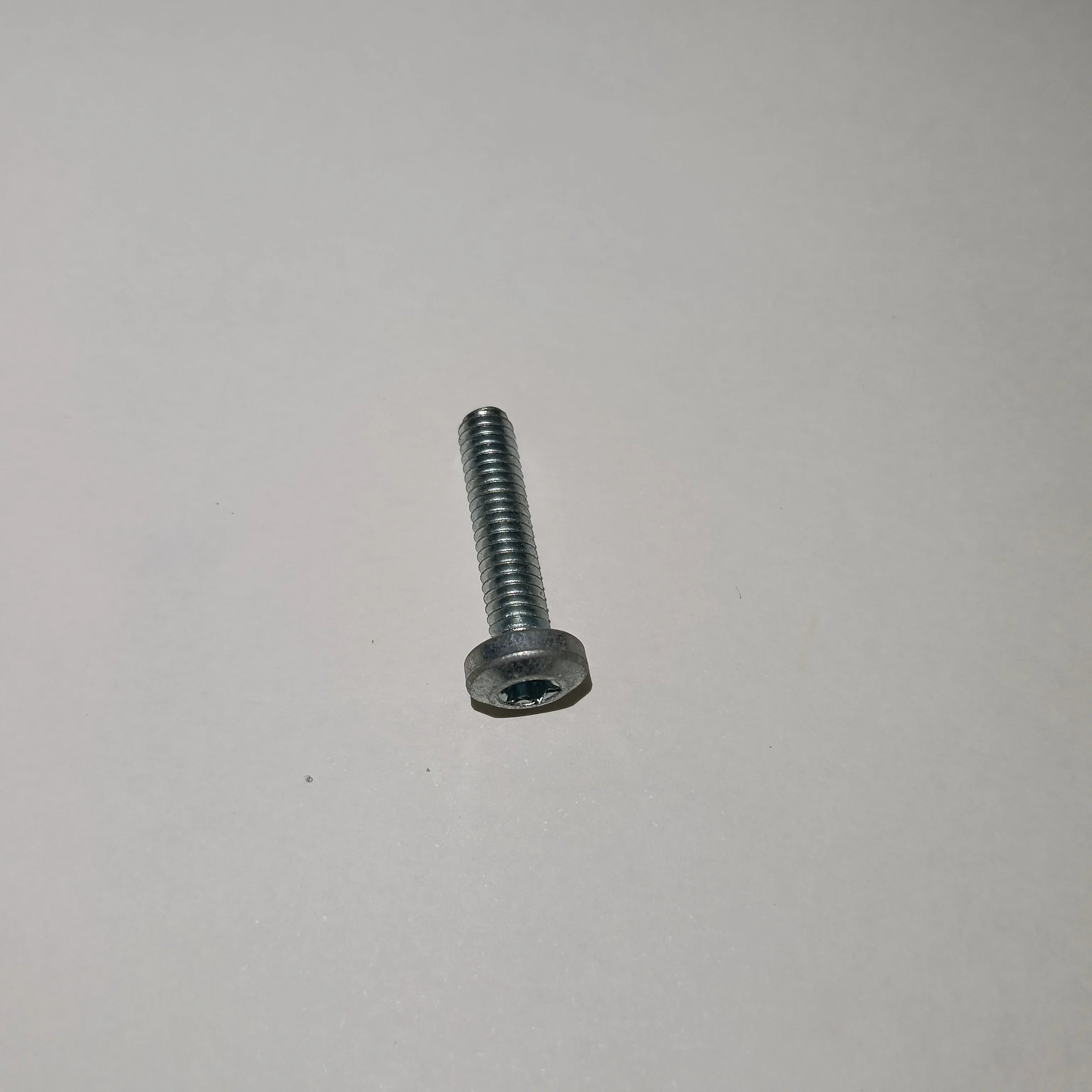 Tornillo Rosca IZQ.  1619