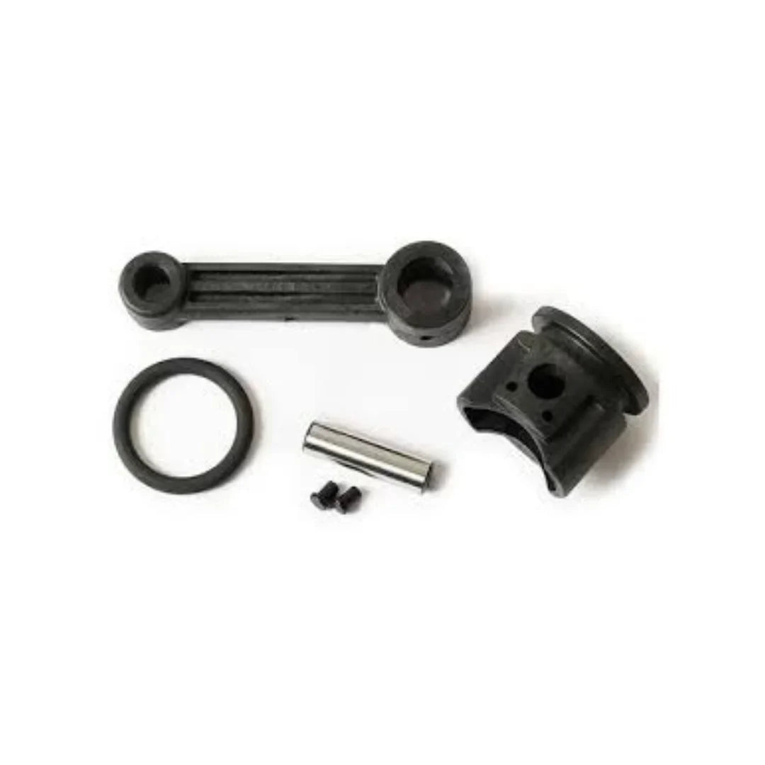 Piston Ens D25900K-D25901