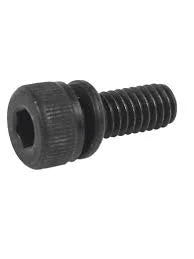 Tornillo M4X10 P/LS1011